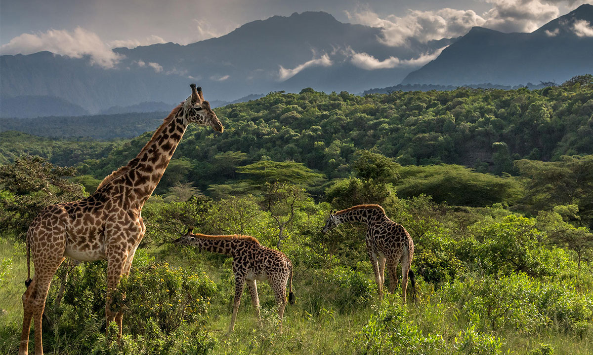 Arusha-National-Park