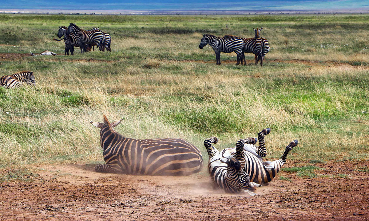 Bset-time-in-Kitulo-Plateau-NP