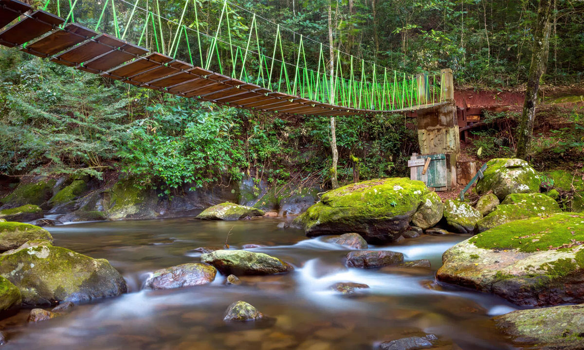 Hanging-Bridge-in-Udzungwa