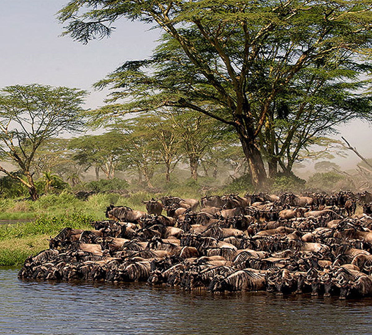 Serengeti-National-Park