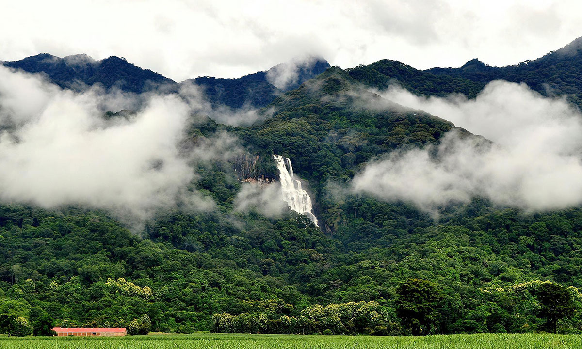 Udzungwa-mountain