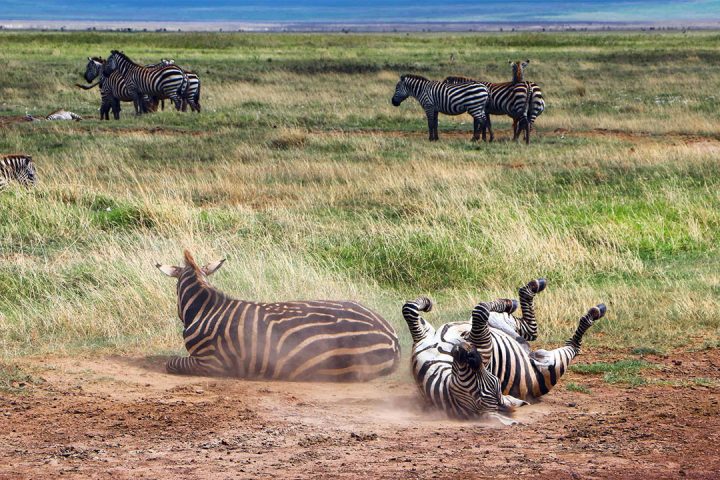 Bset-time-in-Kitulo-Plateau-NP