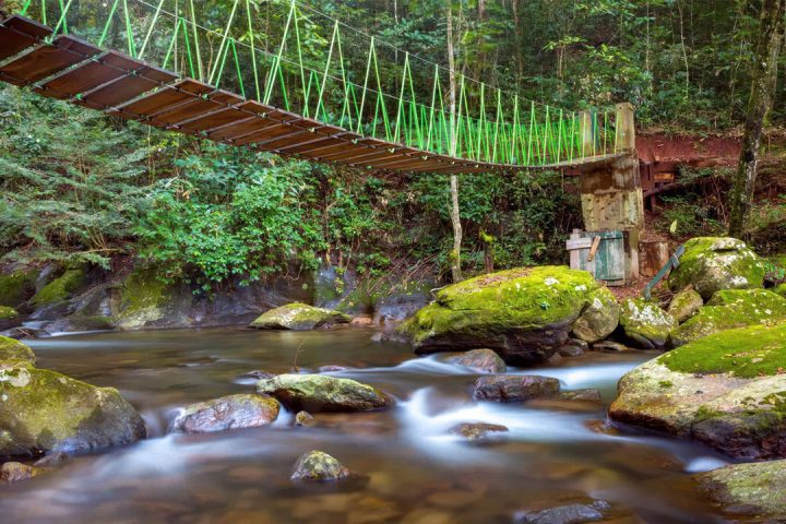 Hanging-Bridge-in-Udzungwa