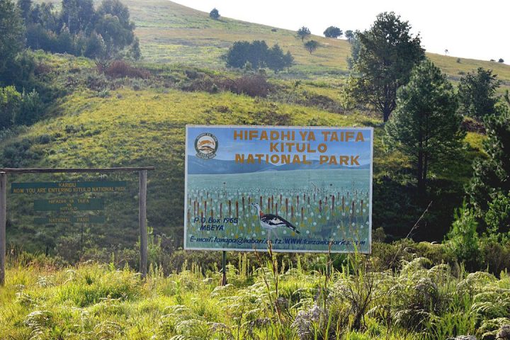 Kitulo-NP_