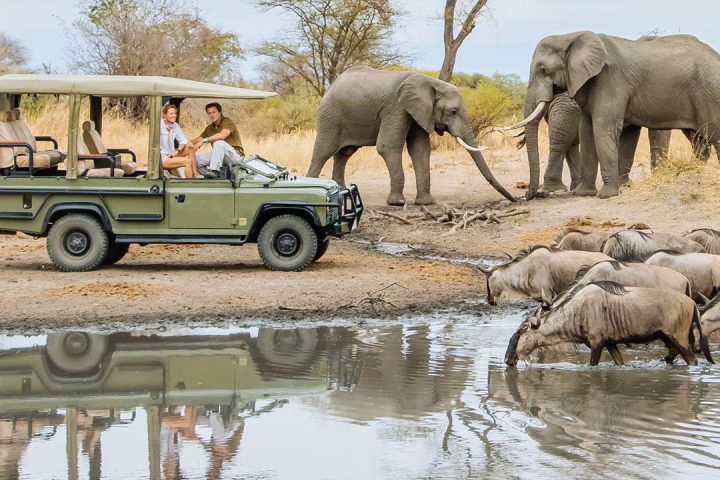 Lake-Manyara-NP