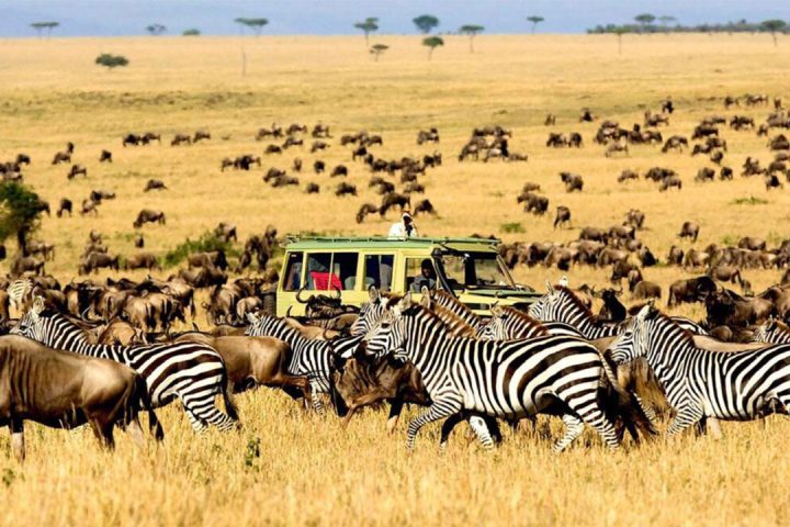 Nduti-Region-NP2