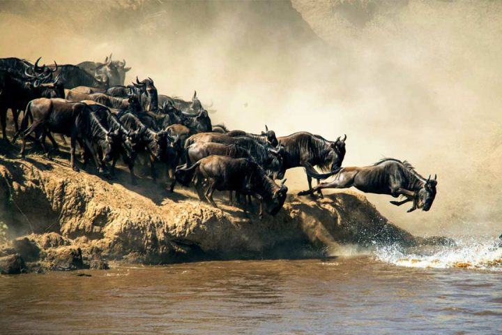 Ndutu-Region-NP
