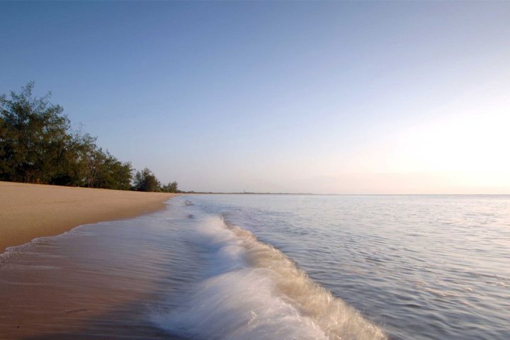 Saadani-National-Park